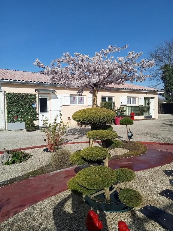un jardín con un árbol y arbustos frente a un edificio en une pause quelque part au jardin des érables et des niwakis, en Saint-Médard-de-Guizières