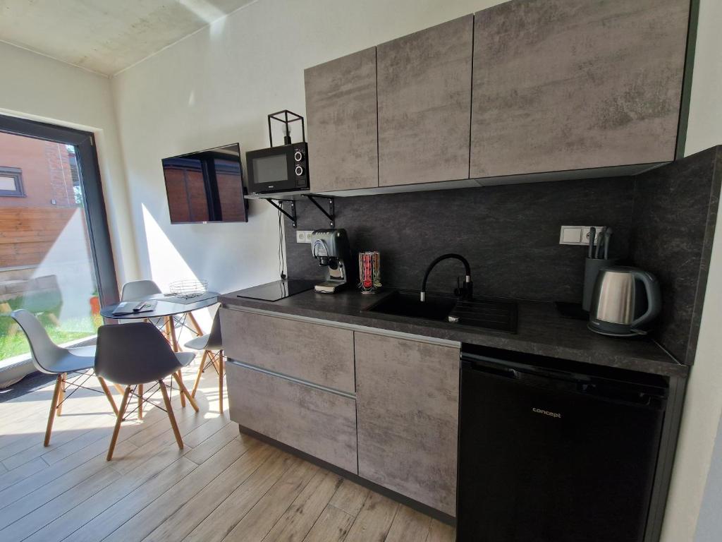 Kuchyň nebo kuchyňský kout v ubytování Moderní byt v Relax Vila Lipno u pláže Windy Point