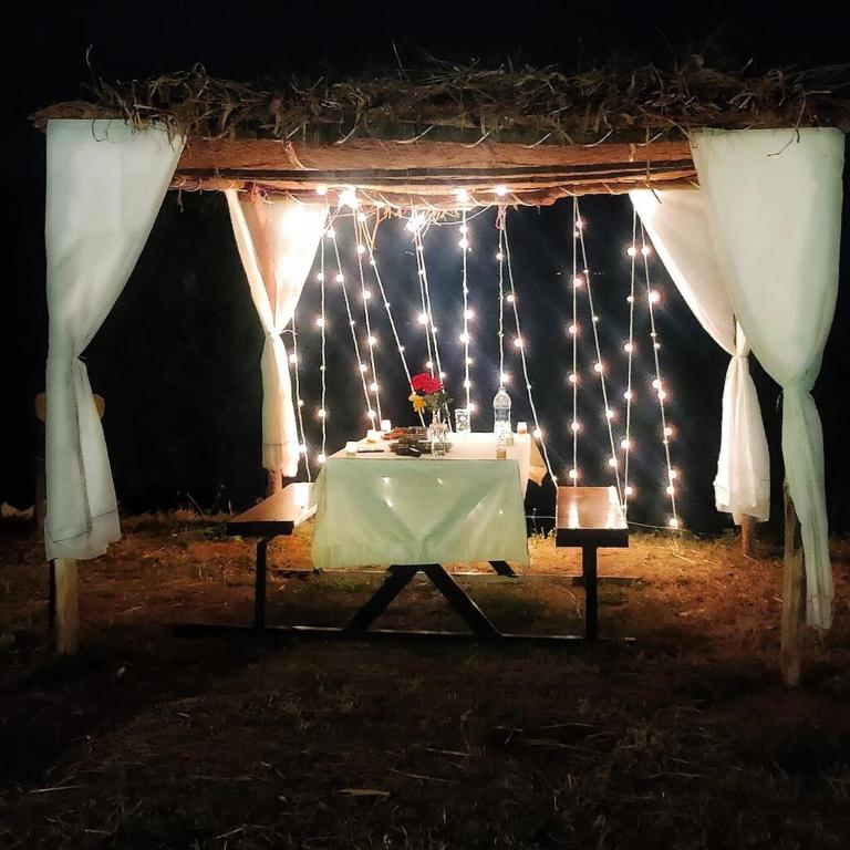 Fotografie z fotogalerie ubytování The Tribe Panchgani v destinaci Panchgani