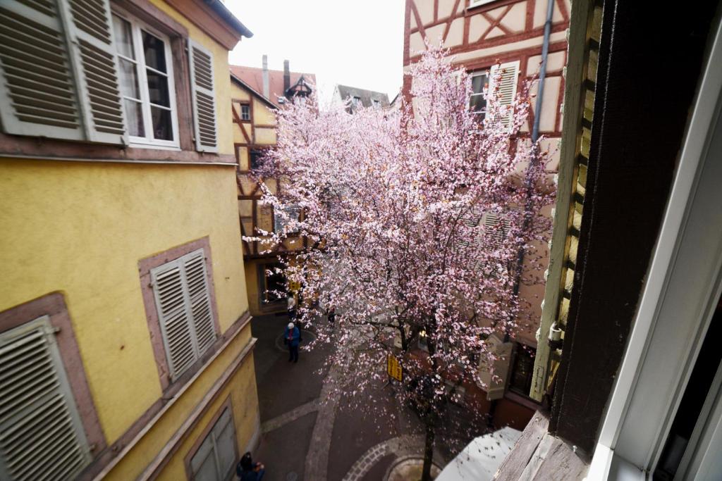 Gite Bim Maidala - 13