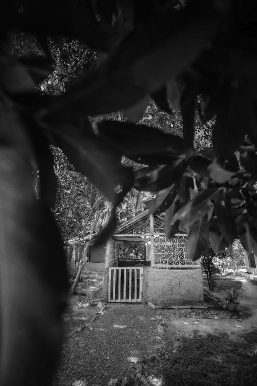 Fotografie z fotogalerie ubytování Little Cabanas Udawalawe v Udawalawe