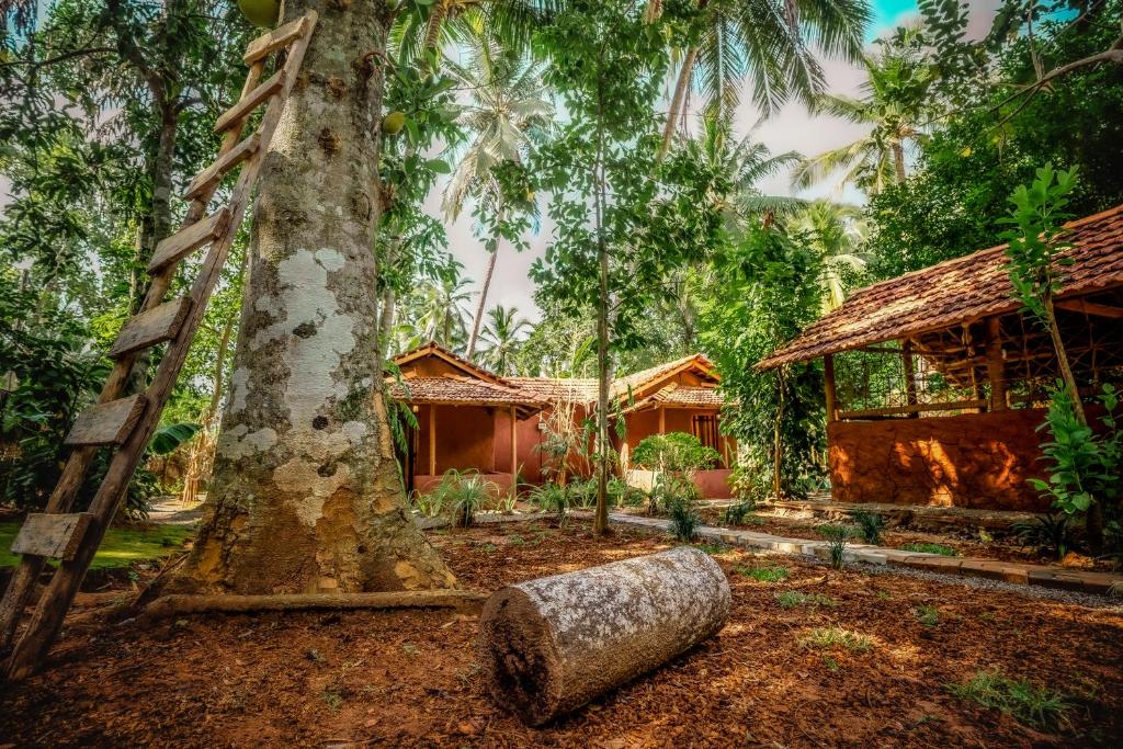 Zahrada ubytování Little Cabanas Udawalawe