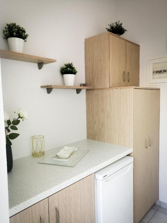 Kuchyň nebo kuchyňský kout v ubytování Anel Rooms