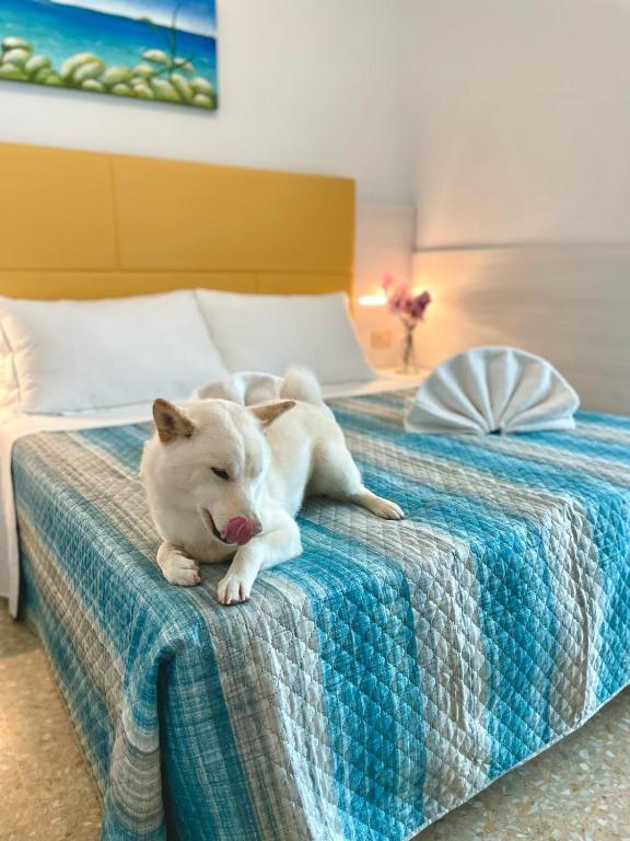 Postel nebo postele na pokoji v ubytování Hotel Crystal anche con spiaggia inclusa ALL INCLUSIVE