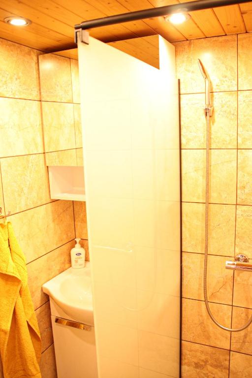 Koupelna v ubytování Apartmán Kinských