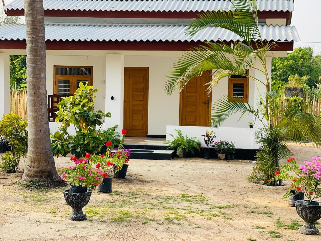 Zahrada ubytování Villa Vianna