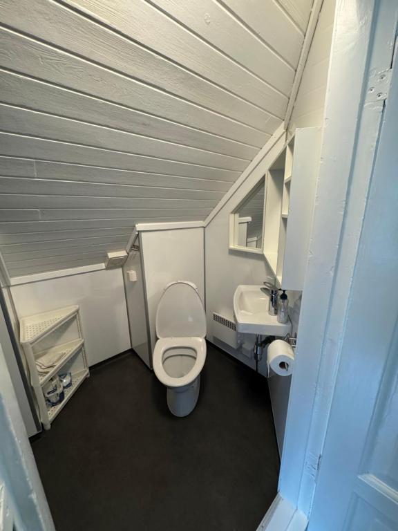 Koupelna v ubytování Leilighet Vikeland- single 2 bedrooms apartment