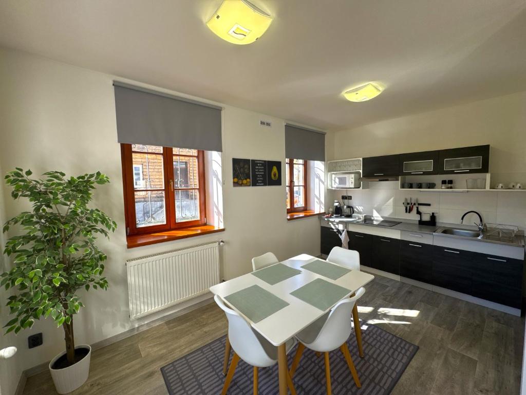Kuchyň nebo kuchyňský kout v ubytování Apartmán Špálovka