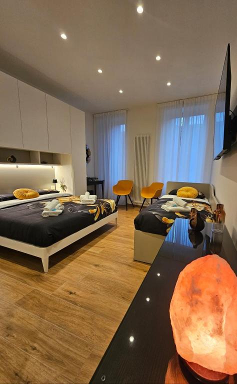 皮亚琴察Salotto Corso Garibaldi的一间带两张床的卧室和一间客厅