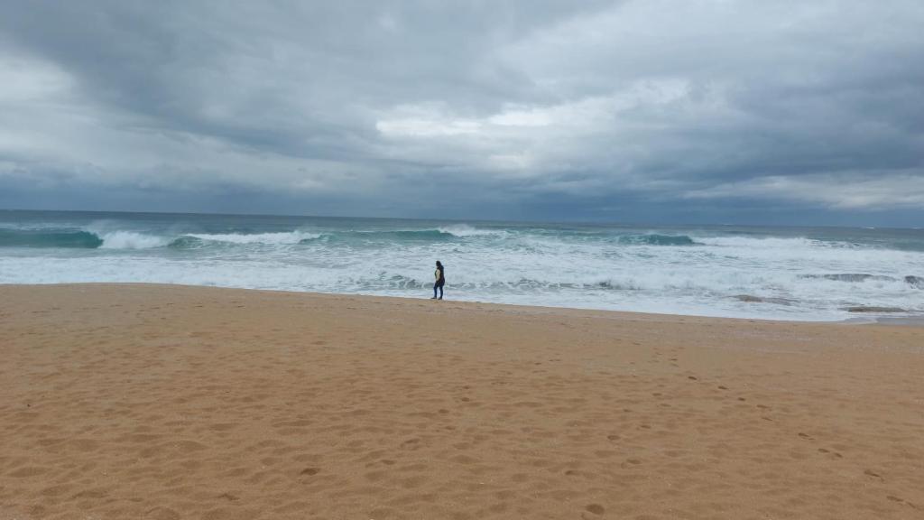 Naturlandskabet i nærheden af lejligheden