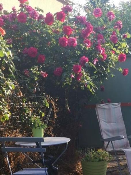 Une bande de roses roses suspendues à un mur dans l'établissement Hébergement de vacances à riez à 10 minutes environ du lac de sainte Croix du Verdon, à Riez