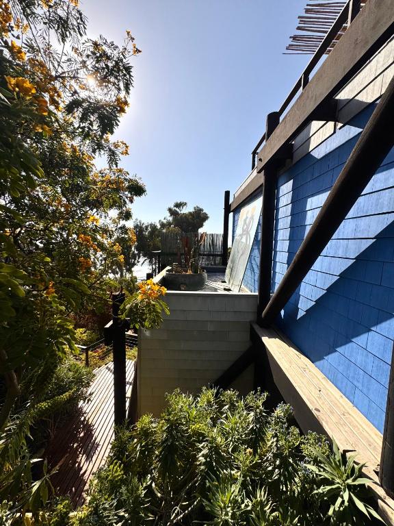 Zahrada ubytování Lofts - Casa El Pangue, Zapallar
