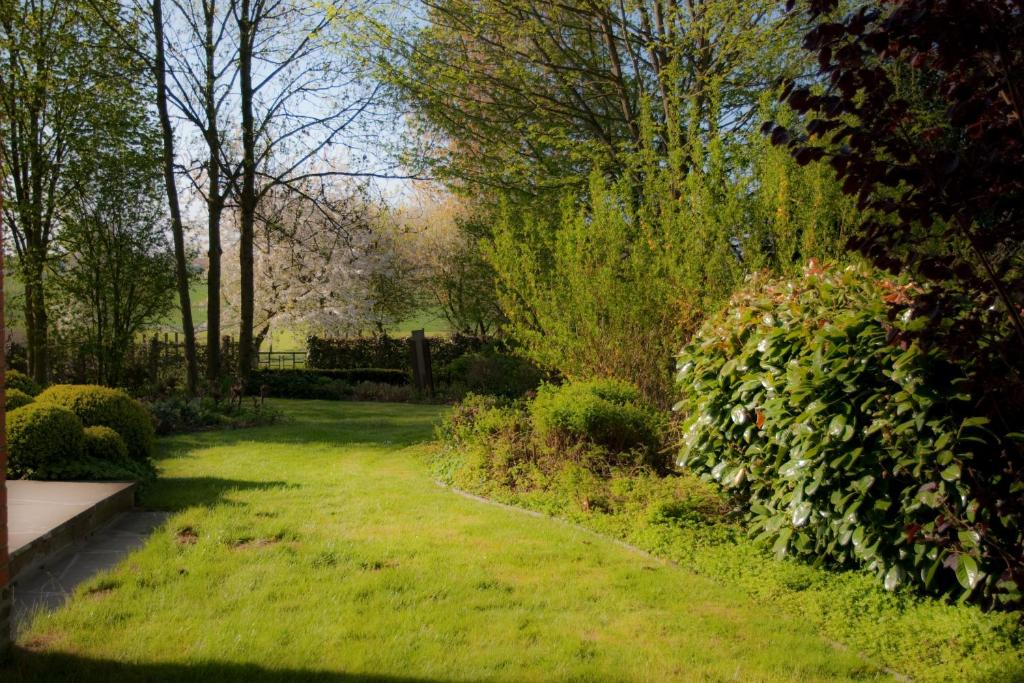 Zahrada ubytování B&B Goudsbloempje