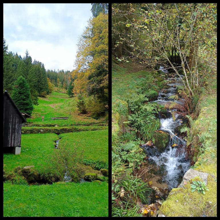 Příroda nedaleko apartmánu