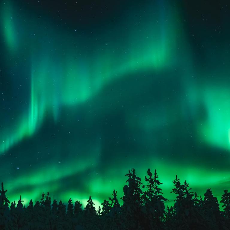Fotografie z fotogalerie ubytování SKOG Aurora igloos v destinaci Kalix