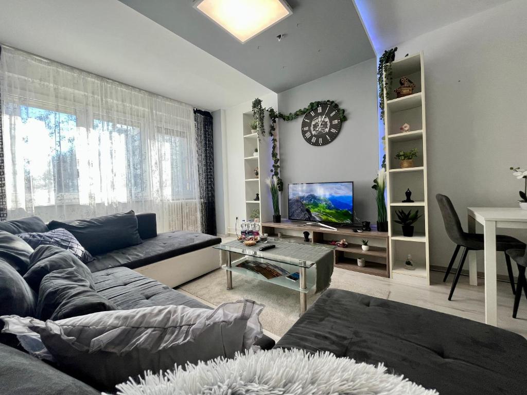 a living room with a couch and a table at GreatForestSportAndSpaUniversityFlat in Debrecen