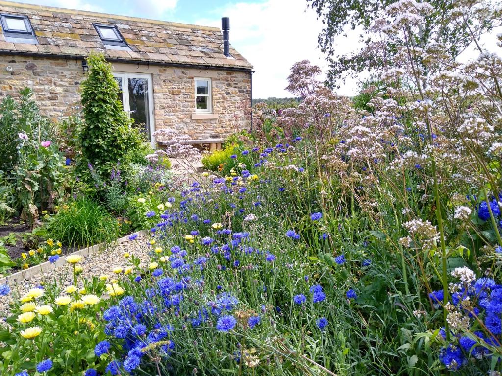 - un jardin fleuri devant une maison en pierre dans l'établissement Birch Bothy, peaceful rural retreat, à Hexham