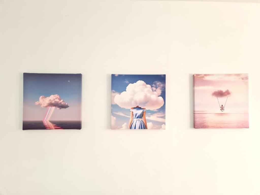 Dans les Nuages - Entrée autonome - Mulhouse Centre – photo 6