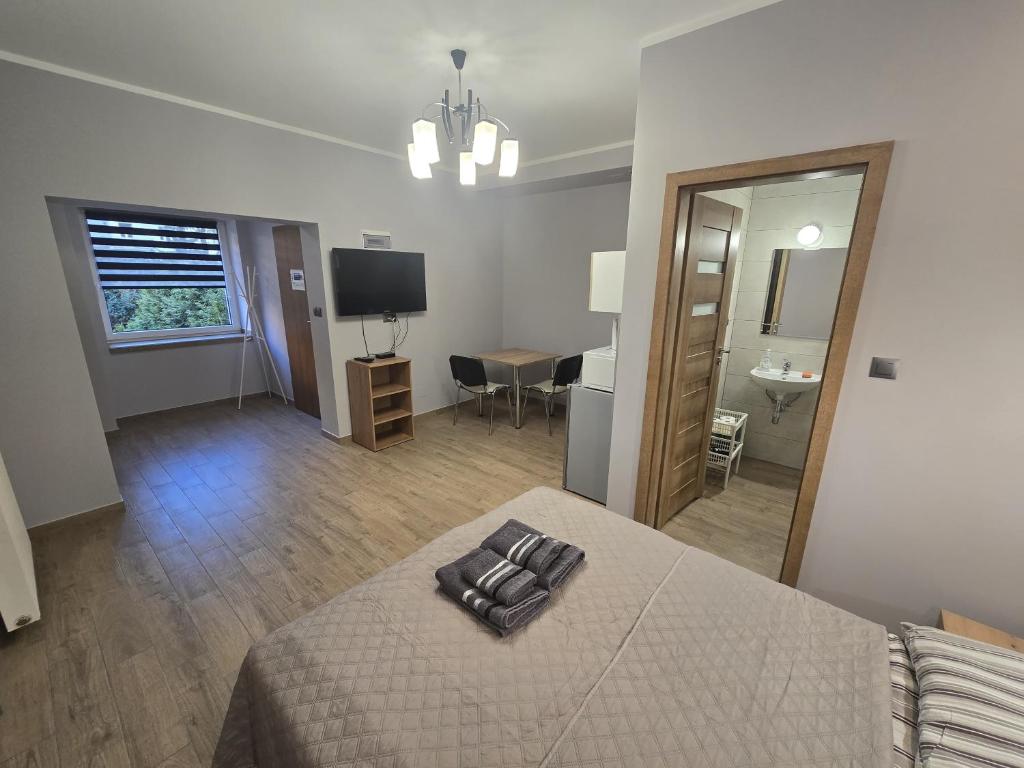 Televízia a/alebo spoločenská miestnosť v ubytovaní Apartamenty Pokoje DreamZone