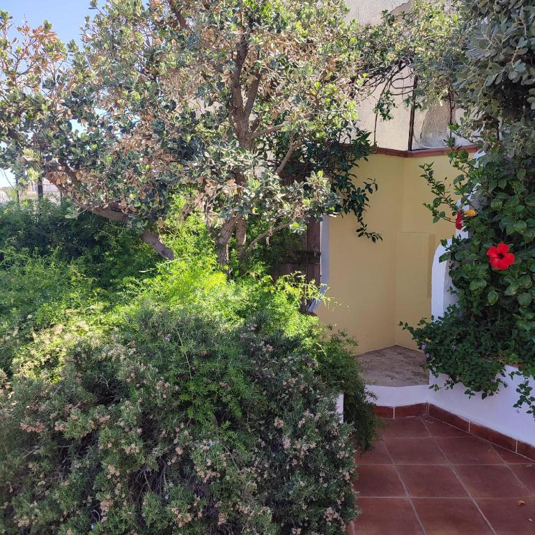 Zahrada ubytování Hotel Villa Verde