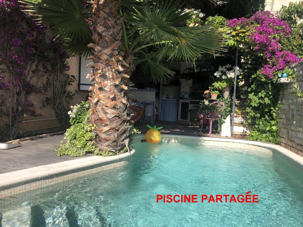ein Swimmingpool mit einer Palme in einem Hof in der Unterkunft Les Grimaldines - Maison d&#39;Hôtes in Cagnes-sur-Mer