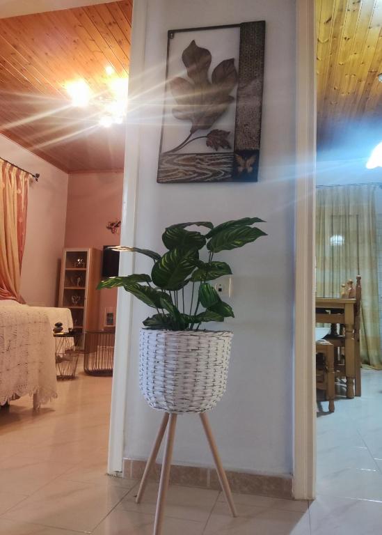 Predel za sedenje v nastanitvi Sun N Sand