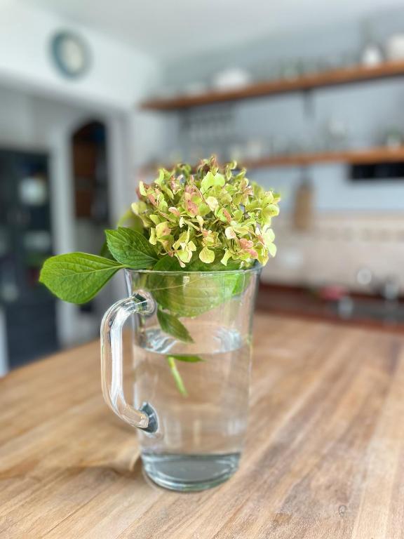 a glass mug with flowers in it on a table at Casa taller in Tigre