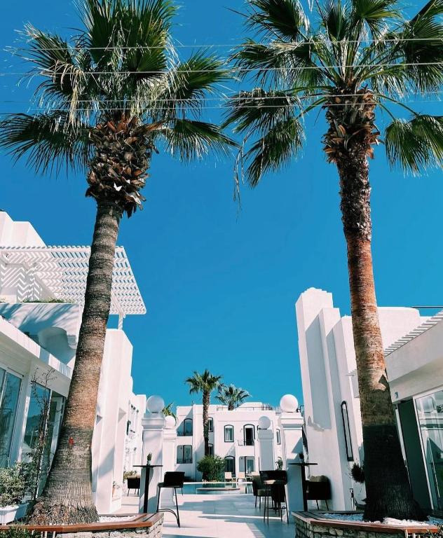 two palm trees in front of a white building at Yalinn Boutique Hotel in Yalıkavak