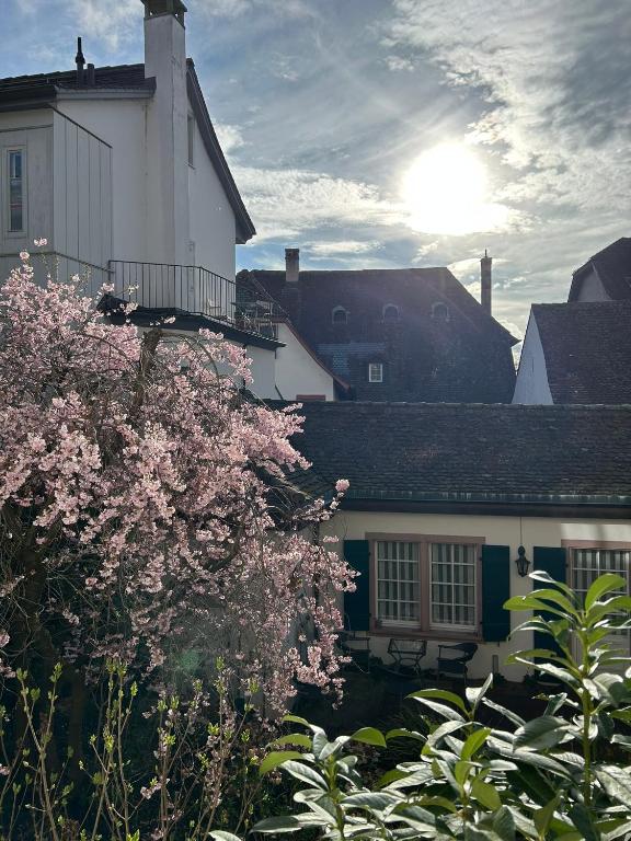 Zahrada ubytování Rheinstream Guesthouse Basel
