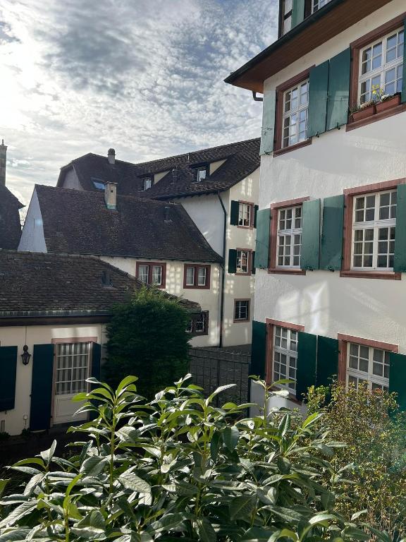 Rheinstream Guesthouse Basel - Resim 6