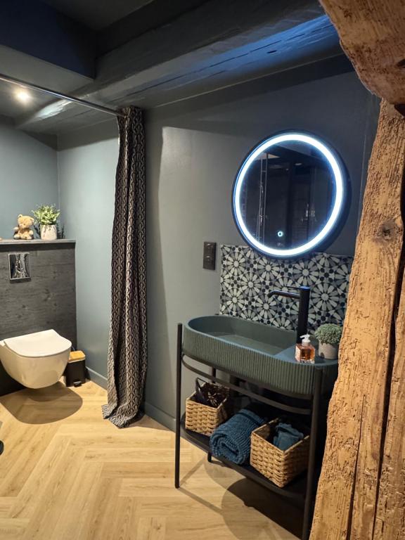 a bathroom with a green sink and a toilet at Suite Richovilare - Sauna & Hammam in Riquewihr