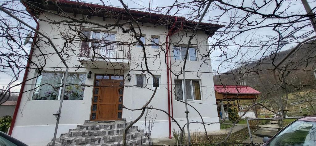a white house with a wooden door and stairs at Casa Maria in Negruleşti