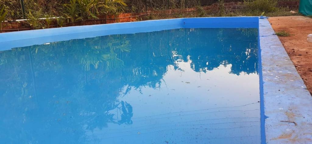 Bazén v ubytování Ecoark Farmstay nebo v jeho okolí