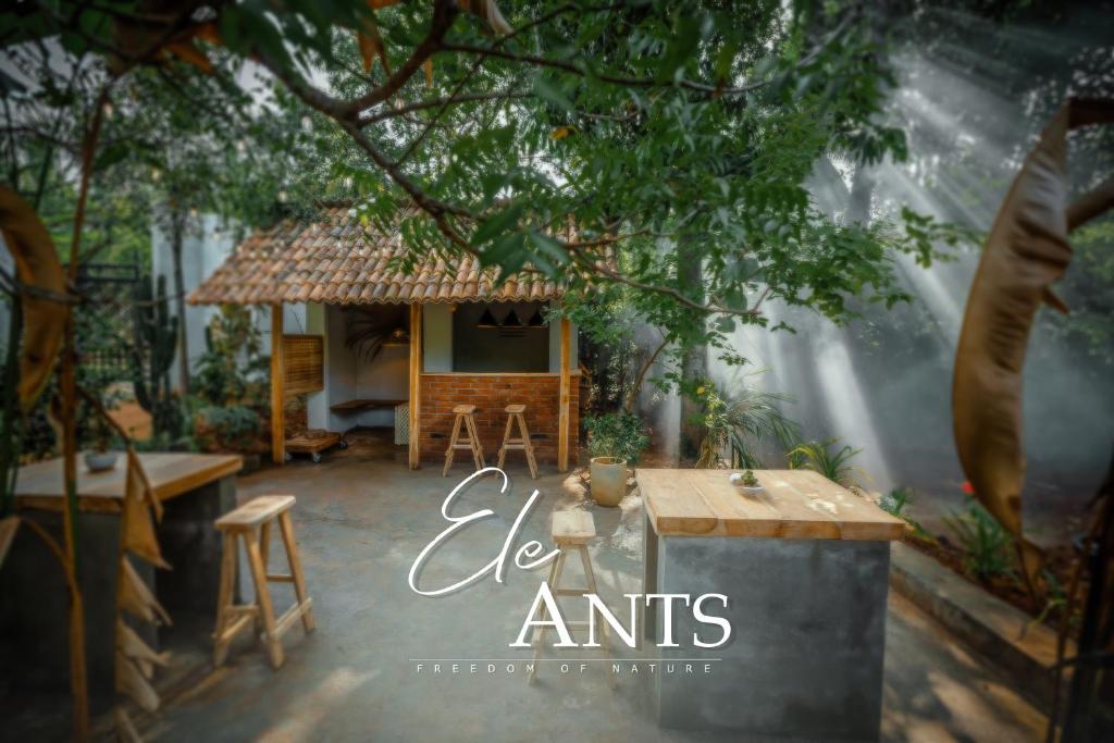 Fotografie z fotogalerie ubytování Ele Ants v Udawalawe