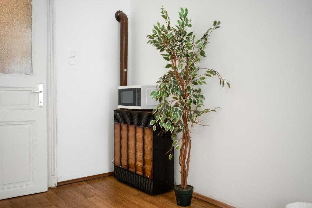TV/Unterhaltungsangebot in der Unterkunft Comfortable 2BR Apt Central & Well Connected