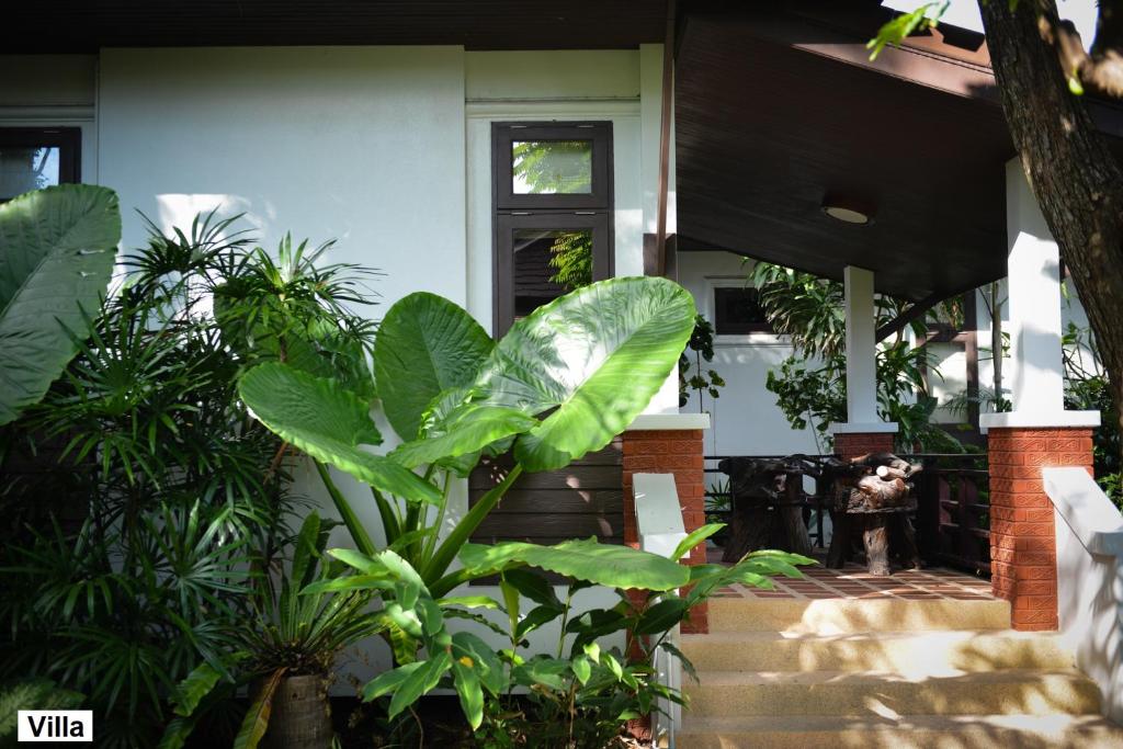 Zahrada ubytování Phangan Bayshore Resort Koh Phangan