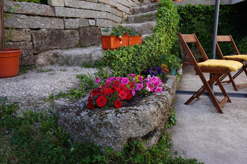 a garden with a bunch of flowers and a chair at Casa de Campo Neves in Montalegre