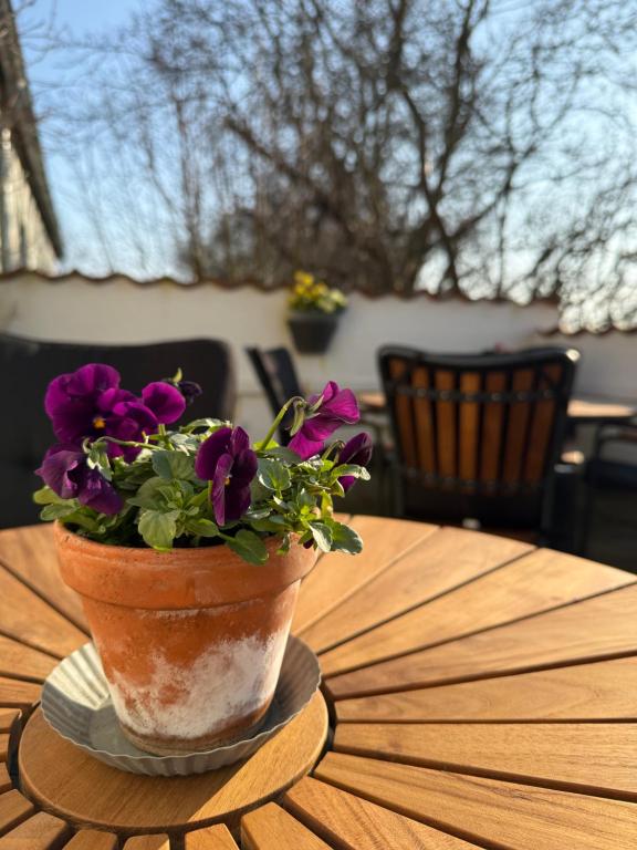 Balcone o terrazza di Digebjerggaard Bed & Breakfast