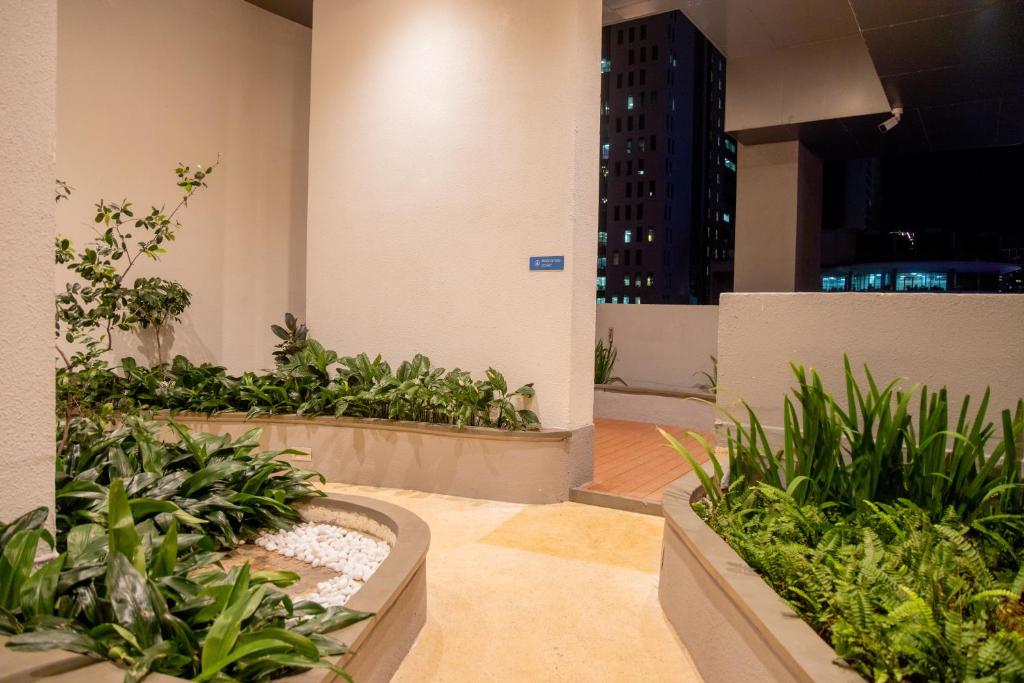 View of Urban Oasis Apartment Indoor Plant
