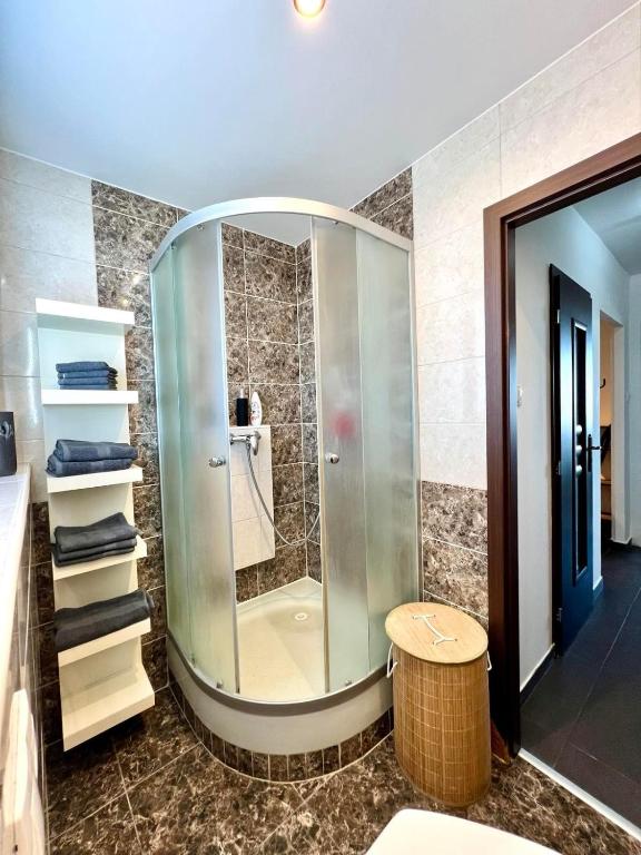 Koupelna v ubytování Apartman Aniko