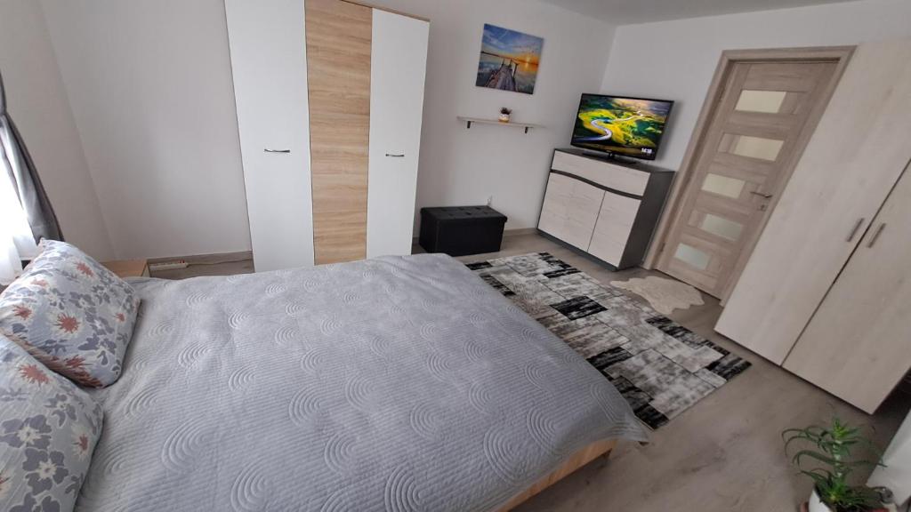 een slaapkamer met een bed en een flatscreen-tv bij Casa Bianchi Vatra Dornei in Vatra Dornei