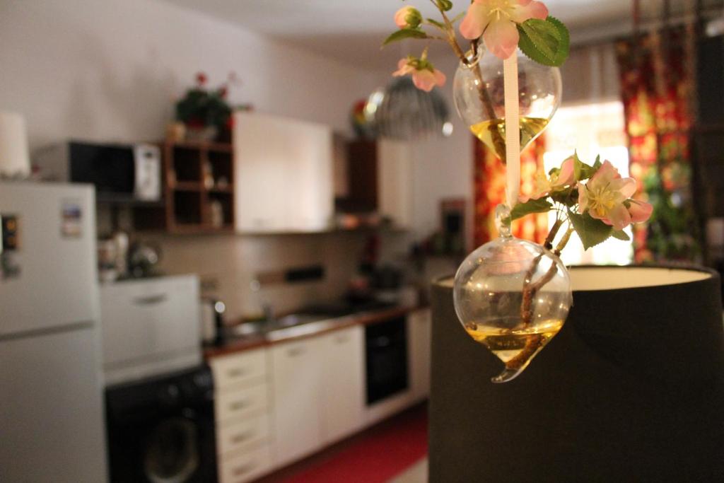 Kuchyň nebo kuchyňský kout v ubytování Flower