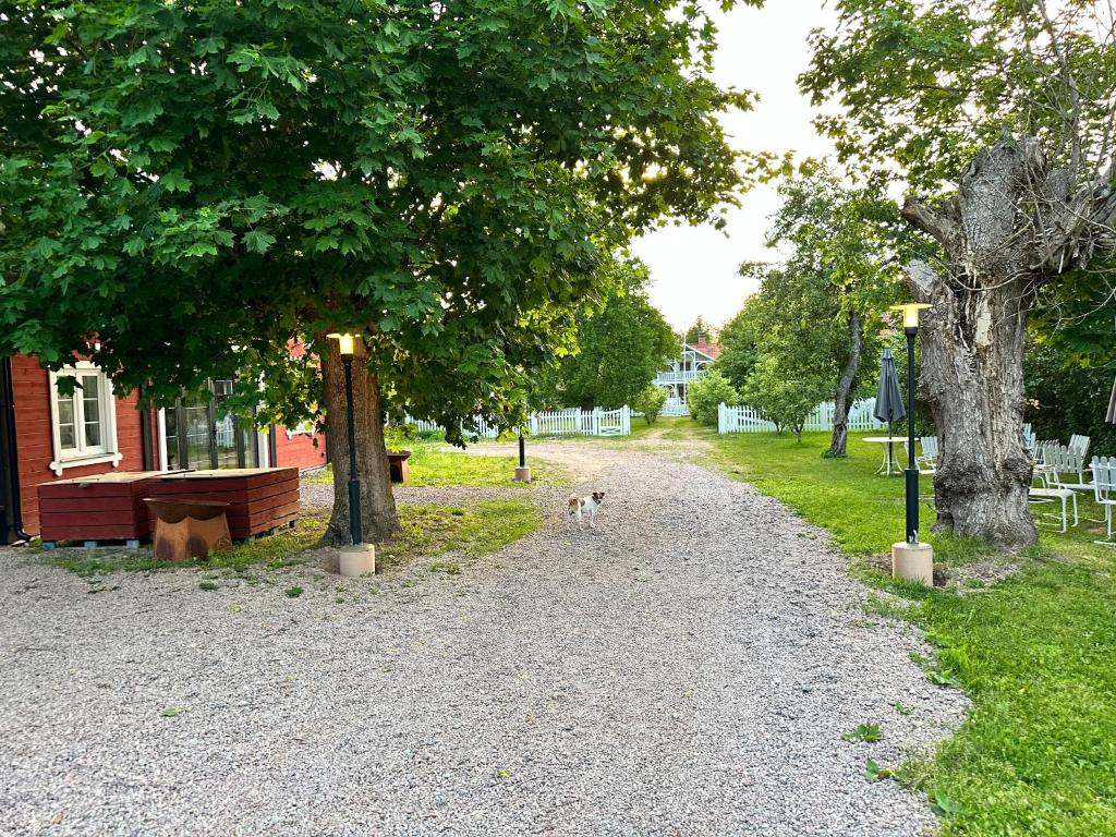 Zahrada ubytování Musteriet i Djursdala