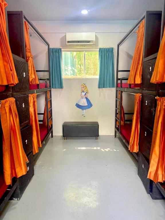 Palanda nebo palandy na pokoji v ubytování White Rabbit Hostel