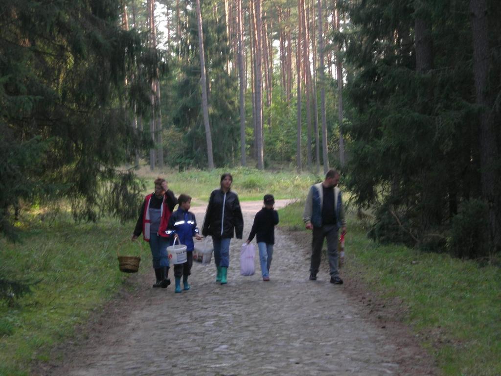 una familia caminando por un camino en el bosque en Gościniec Pogobie, en Pogobie Średnie