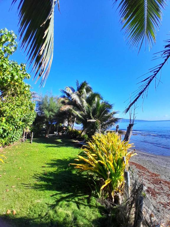 Fare pae tatahi, Afaahiti - photo 8 - Tahiti, Polynésie