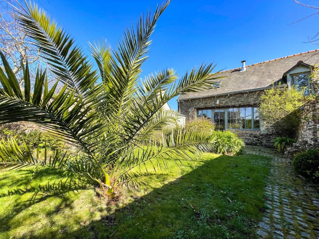 a palm tree in front of a house at Ty Cosy-Charme et Confort au Coeur de la Bretagne in Plouézec