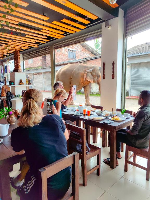 Hosté ubytování Elepath Lodge- Pinnawala