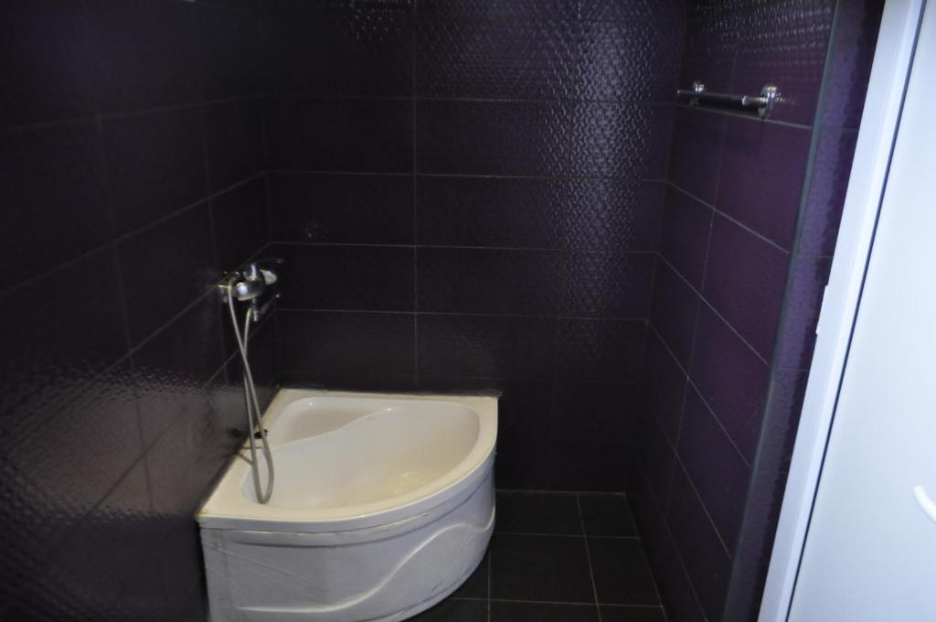Koupelna v ubytování Guesthouse Dariali