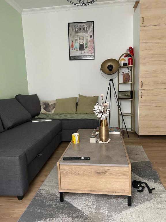 un salon avec un canapé et une table basse dans l'établissement Cozy Appartment in Voltaire, à Paris